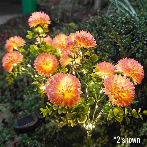 Solar Light Chrysanthemums, garden decoration