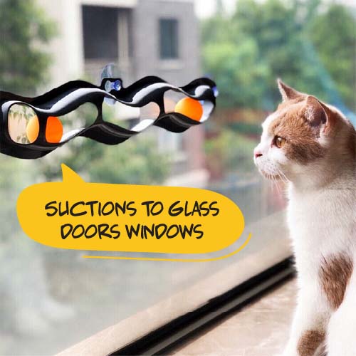 Track & Roll Cat Toy