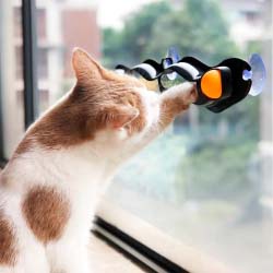 Track & Roll Cat Toy