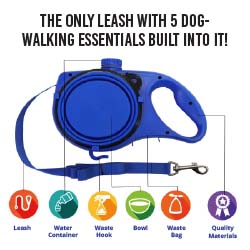 All-in-1 Dog Leash - blue
