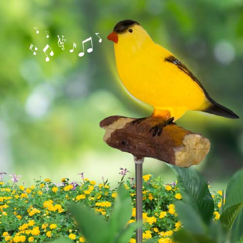 Solar Powered singing Finch
