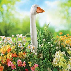 My Goose Garden Deco