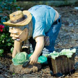 Gardening Grandpa
