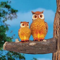 Solar Mother & Child Owls