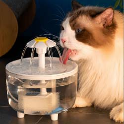 Pet Drinking Fountain incl 4 filters