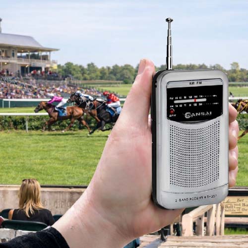 Sansai Pocket AM/FM Radio