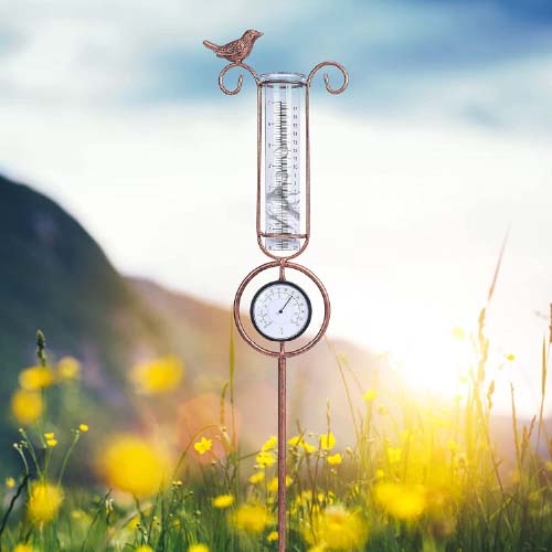 Rain Gauge & Thermometer