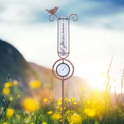 Rain Gauge & Thermometer