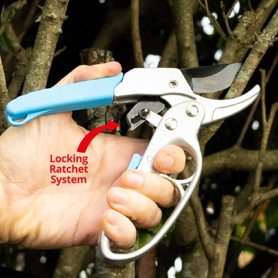 Ratchet Pruning Secateurs