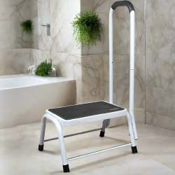 Safe Step with Hand Rail