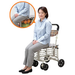 Walk-n- Rest Shopping Trolley