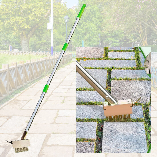 Stainless Steel Weed Brush