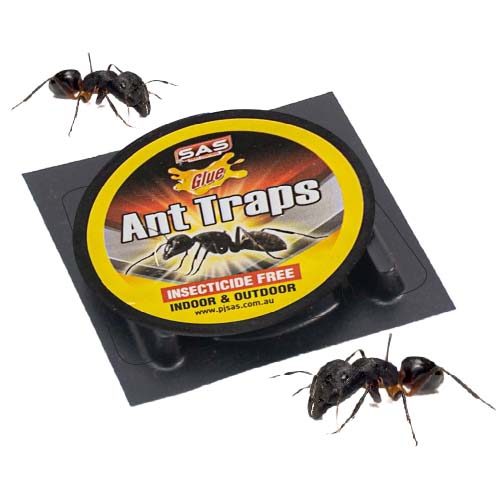 Non -Toxic Ant Trap 3pk