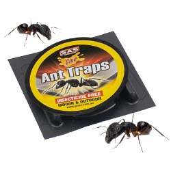 Non -Toxic Ant Trap 3pk